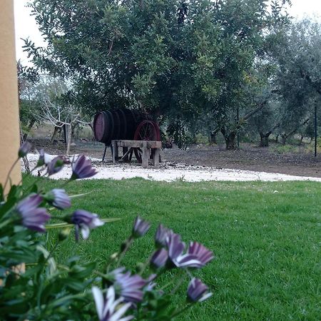 La Buganvilla, Descanso Entre Olivares فرنجلوش المظهر الخارجي الصورة