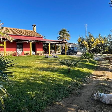 La Buganvilla, Descanso Entre Olivares فرنجلوش المظهر الخارجي الصورة