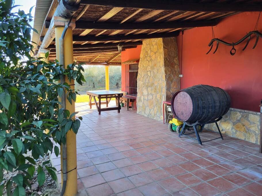 La Buganvilla, Descanso Entre Olivares فرنجلوش المظهر الخارجي الصورة