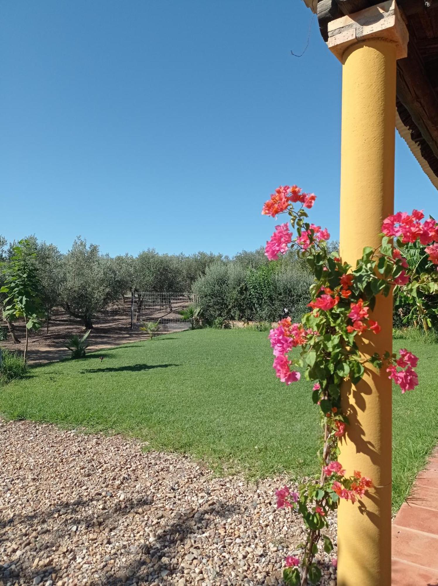 La Buganvilla, Descanso Entre Olivares فرنجلوش المظهر الخارجي الصورة