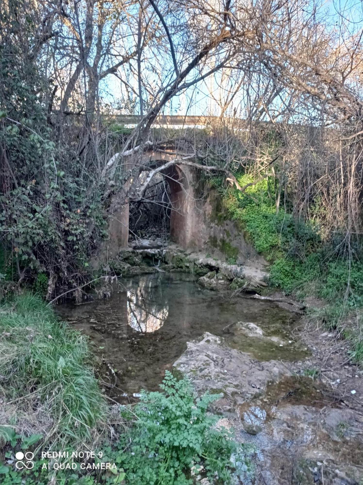 La Buganvilla, Descanso Entre Olivares فرنجلوش المظهر الخارجي الصورة